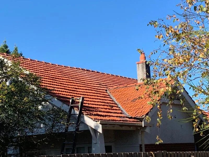 Terracotta tile roof repaired and repointed