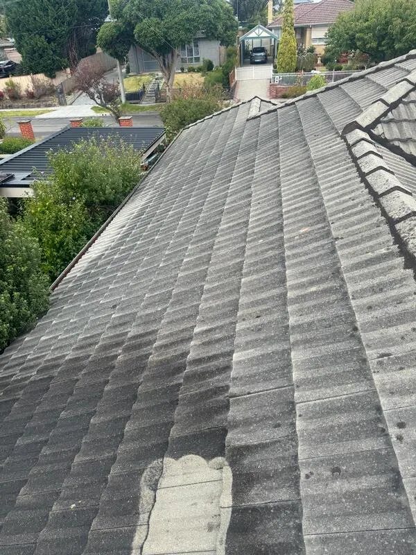 Test patch showing a tile roof before and after pressure cleaning
